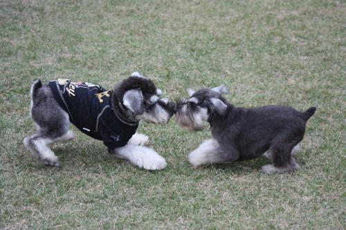 IMG_5871_convert_20111024215723.jpg