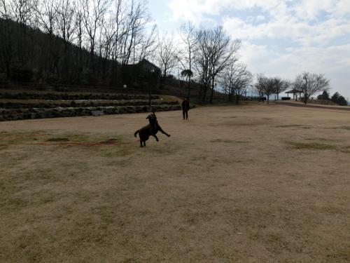 公園
