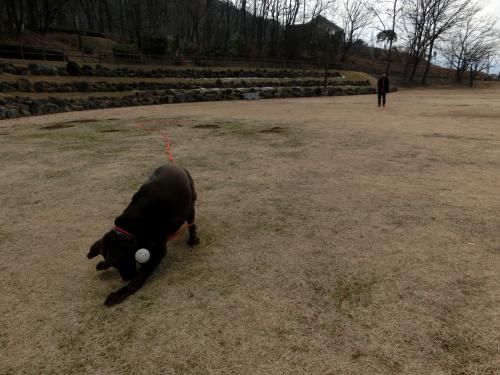 公園2