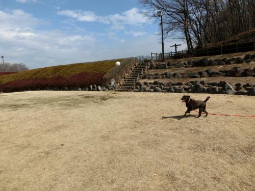 公園5
