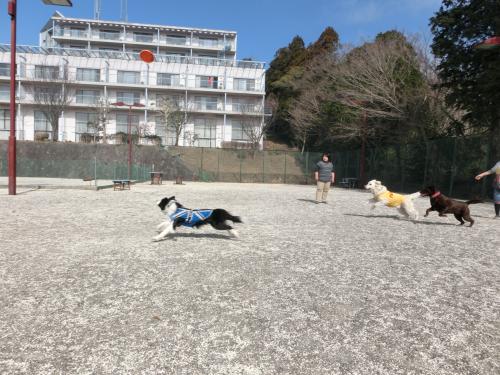 合宿