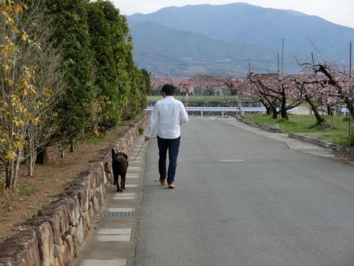 お散歩3