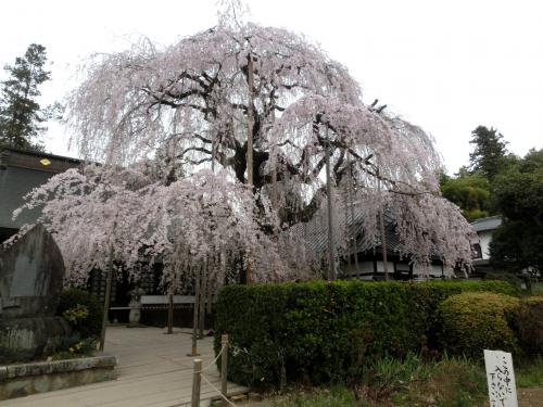 慈雲寺