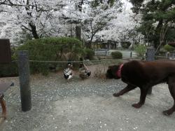 恵林寺2