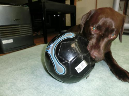 サッカーボール2