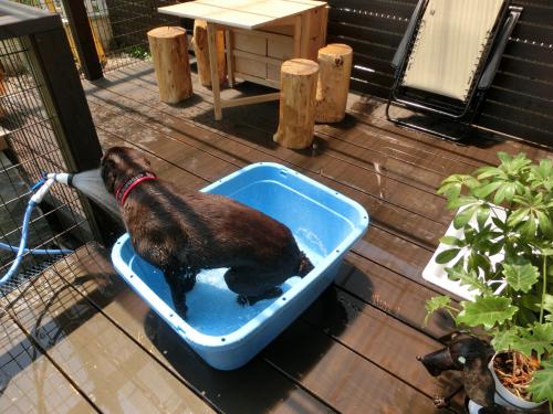水遊び2