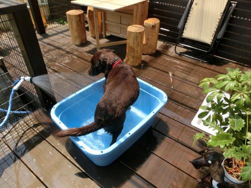 水遊び1