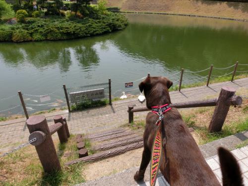 公園1