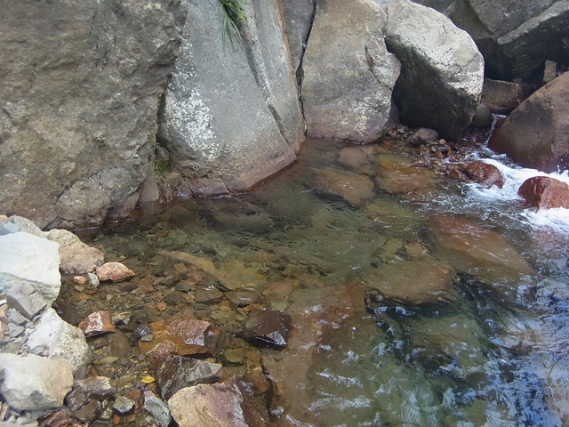 RIMG2658.jpg