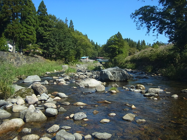RIMG2708.jpg