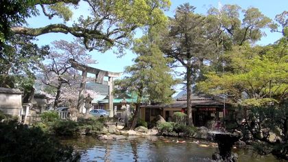 Sakura-10.jpg