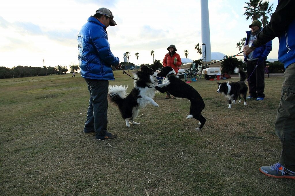 IMG_0038_20131217220147634.jpg