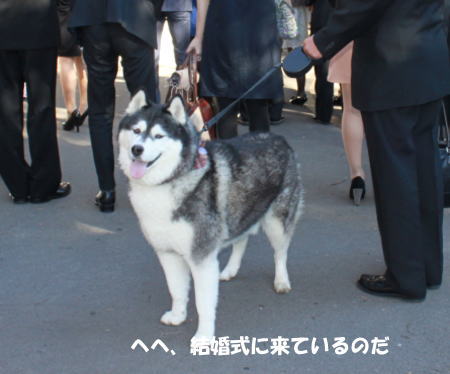 20131130_12.jpg