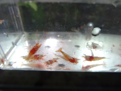 20134101.jpg