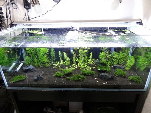 20134104.jpg
