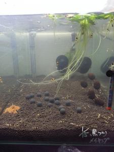 20130306_01.jpg