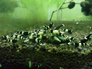 20130317_01.jpg