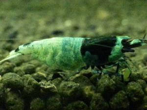20130317_08.jpg