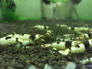 20130323_05.jpg