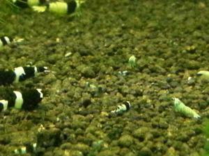 20130405_03.jpg