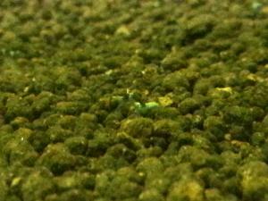 20130410_001.jpg