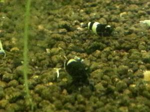 20130410_003.jpg