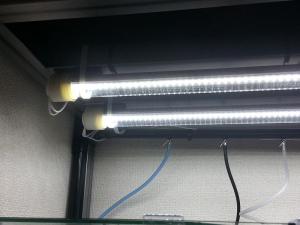 20130710_07.jpg