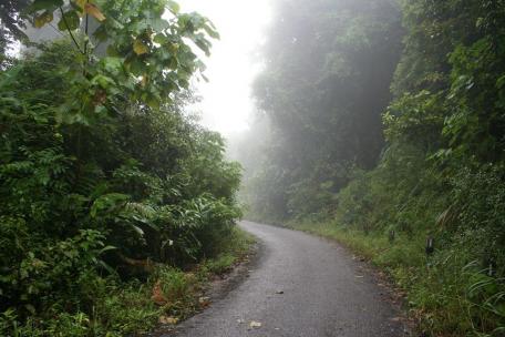 IMG4567q.jpg