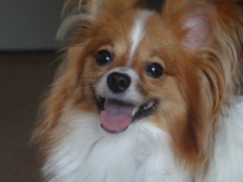2011082700030510e.jpg