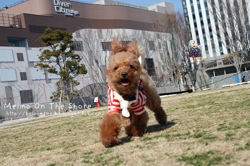 IMG_8557_20120317164549.jpg