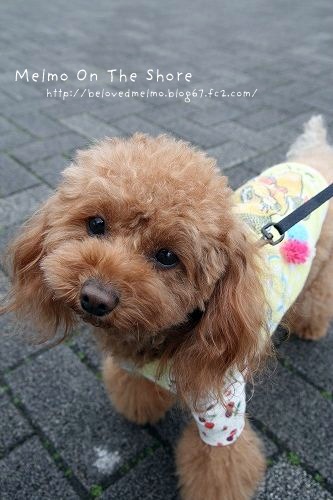 IMG_8630_20120324162130.jpg