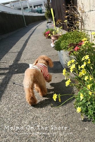 IMG_8683_20120324162309.jpg