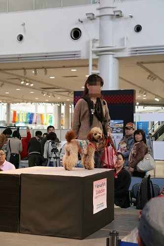 IMG_8753_20120331181614.jpg