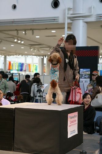 IMG_8754.jpg