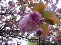 20120422 004