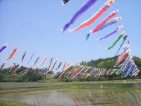 20120429 009