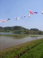 20120429 010