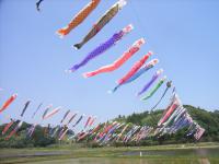 20120429 008