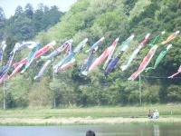 20120429 004