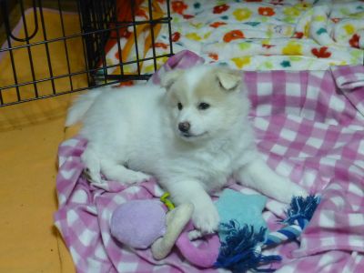 P1070917luna.jpg