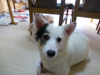 P1070998momo.jpg