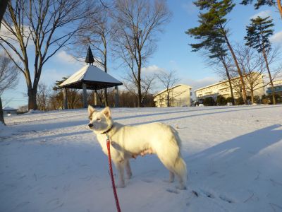 P1080596momo3.jpg
