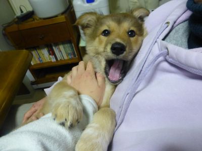 P1090002kana5.jpg