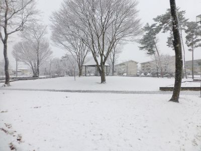 p1080525park.jpg