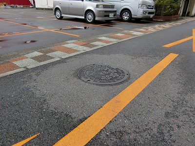 CIMG0885.jpg