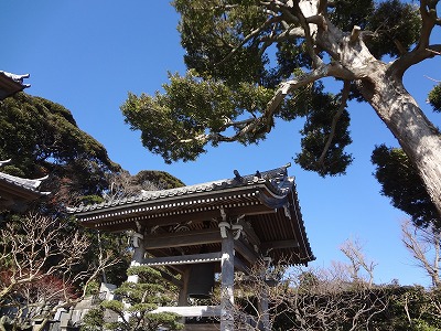 しち57