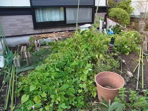 撤去