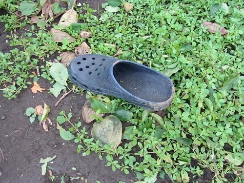 どこから?
