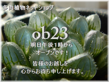 ob23-1 ミニ・ブルーレンズ