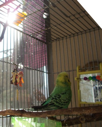20130220_IMG_0287.jpg